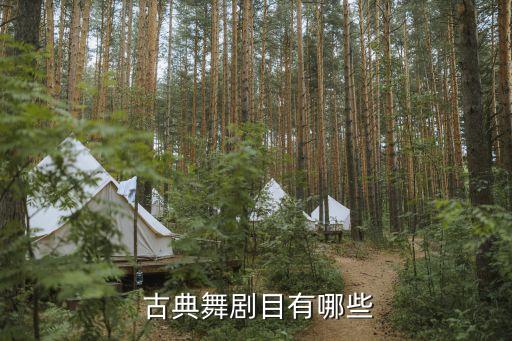 古典舞蹈 经典,我国少数民族古典舞蹈历史悠久演出形式多样