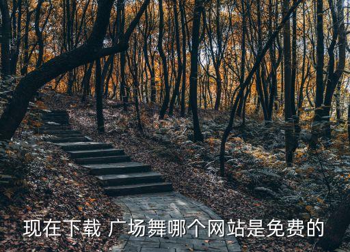 现在下载 广场舞哪个网站是免费的