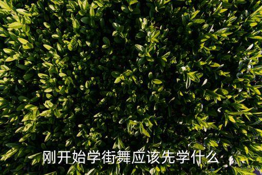 刚开始学街舞应该先学什么
