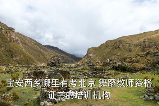 宝安西乡哪里有考北京 舞蹈教师资格证书的培训机构