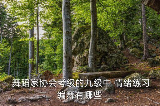  舞蹈家协会考级的九级中 情绪练习编舞有哪些