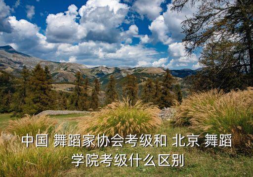 中国 舞蹈家协会考级和 北京 舞蹈 学院考级什么区别