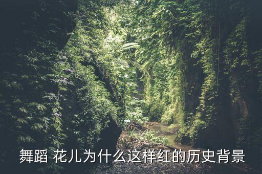  舞蹈 花儿为什么这样红的历史背景