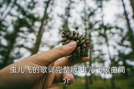  虫儿飞的歌词完整版 虫儿飞歌曲简介
