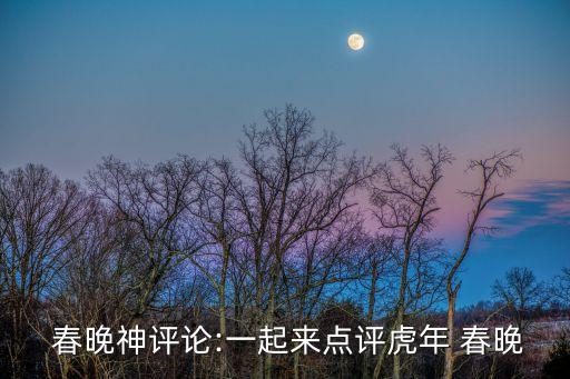  春晚神评论:一起来点评虎年 春晚