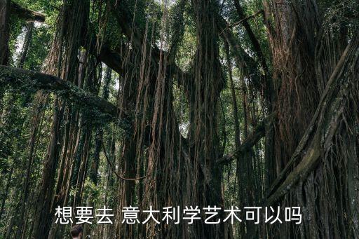 想要去 意大利学艺术可以吗