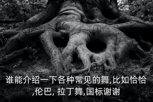 体育舞蹈拉丁舞恰恰,拉丁舞蹈有很多相似之处