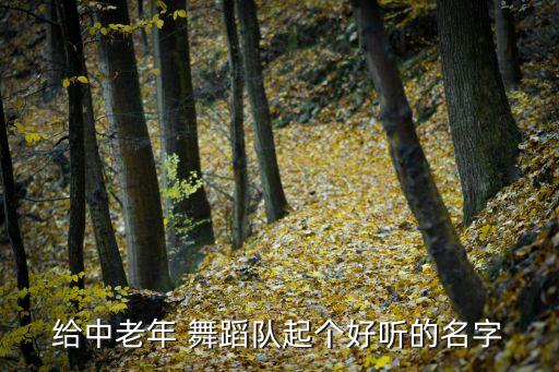 姐妹舞蹈队,舞蹈队老年大学生可叫姐妹群或小金花舞蹈团