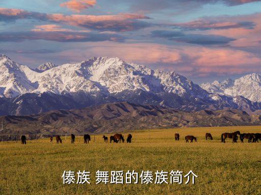 傣族 舞蹈的傣族简介