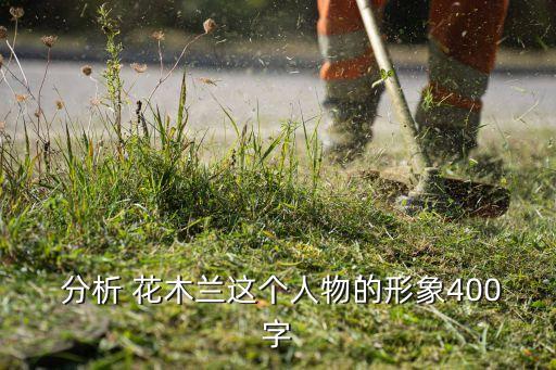  分析 花木兰这个人物的形象400字
