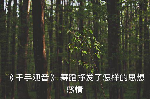 张继钢舞蹈作品视频,舞蹈千手观音由中国舞蹈编舞张继钢创作