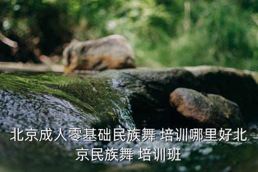 舞蹈培训海淀,北京舞蹈培训中心是指中关村科技发展大厦c座