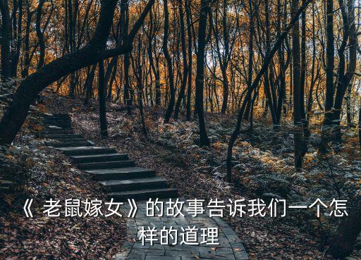舞蹈视频老鼠嫁女,老鼠娶女儿民间故事延续