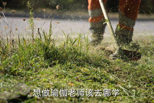舞蹈魔鬼训练营,瑜伽老师怎么培训?选择瑜伽教练培训学校