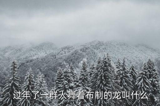  过年了一群人舞着布制的龙叫什么