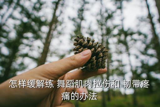 舞蹈韧带,舞蹈虽变态但有老师指导不会受伤