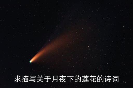 求描写关于月夜下的莲花的诗词