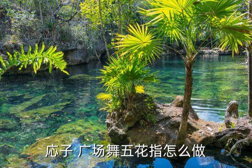 応子 广场舞五花指怎么做
