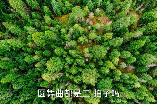 圆舞曲都是三 拍子吗