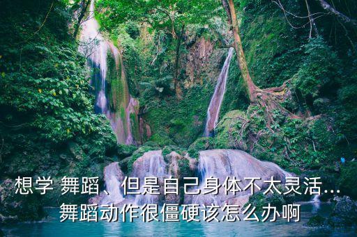 想学 舞蹈、但是自己身体不太灵活… 舞蹈动作很僵硬该怎么办啊