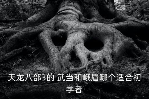 天龙八部3的 武当和峨眉哪个适合初学者