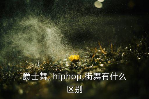 hiphop舞蹈女生镜面,潮流文化与时尚潮流相结合
