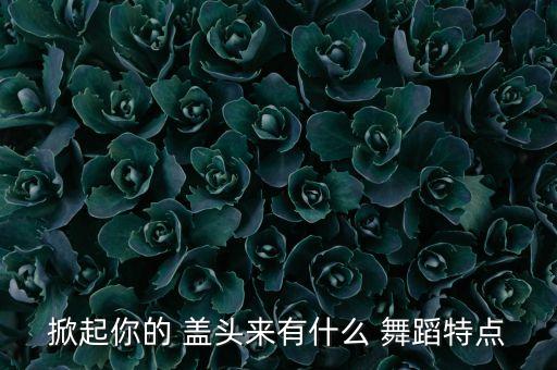 掀起你的 盖头来有什么 舞蹈特点