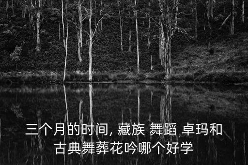 三个月的时间, 藏族 舞蹈 卓玛和古典舞葬花吟哪个好学
