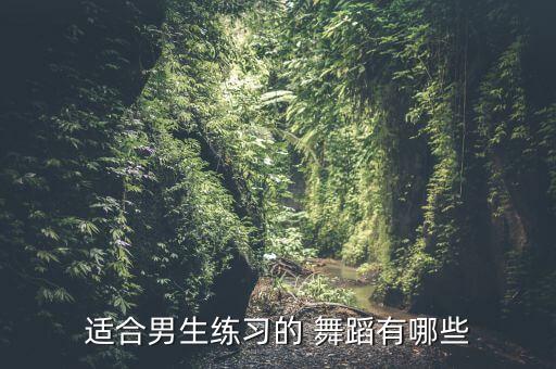 适合男人的舞蹈,第六集:拉丁舞男生可考级可参加高中会考