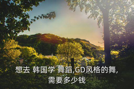 深圳 韩国舞蹈班,深圳一家西班牙拉丁舞蹈培训中心为你推荐