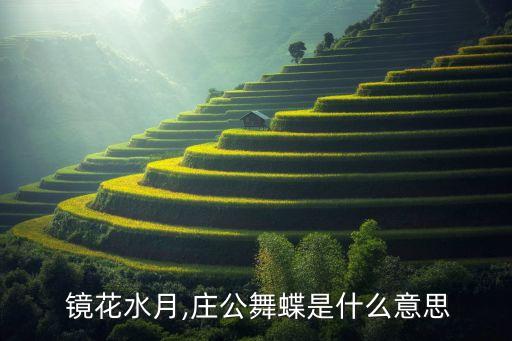  镜花水月,庄公舞蝶是什么意思
