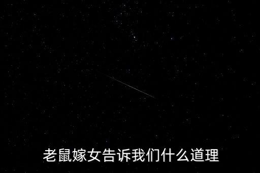  老鼠嫁女告诉我们什么道理