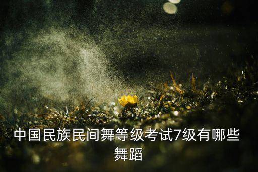 捉泥鳅7级舞蹈视频,中国民族民间舞等级考试:舞蹈介绍