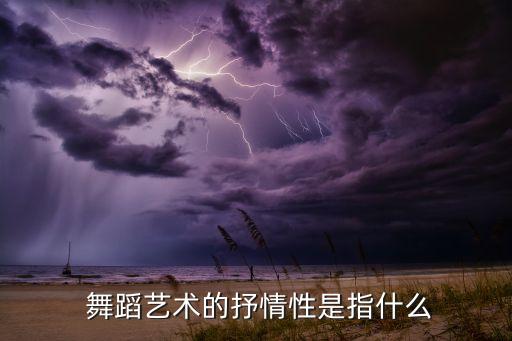  舞蹈艺术的抒情性是指什么