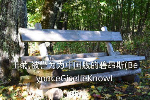 王菊,被誉为为中国版的碧昂斯(BeyonceGiselleKnowles