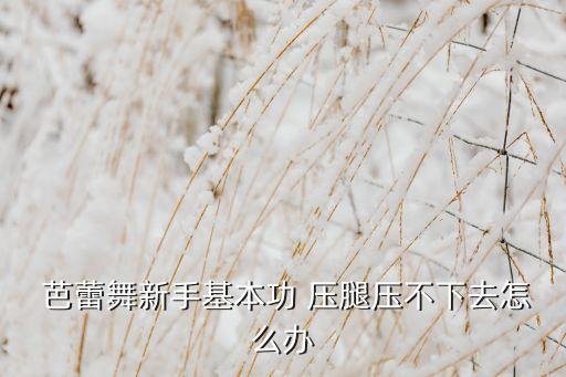  芭蕾舞新手基本功 压腿压不下去怎么办