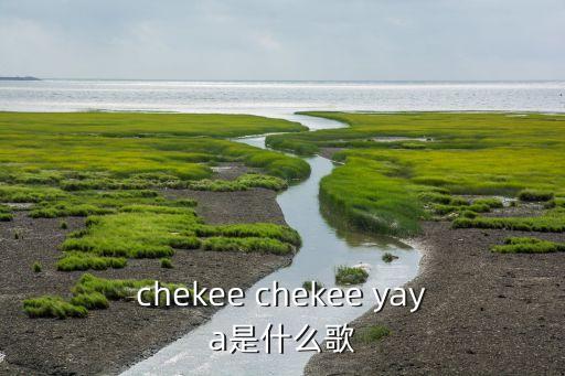 什么是舞蹈yayayaya,韩式街舞舞者很厉害很有个人特色