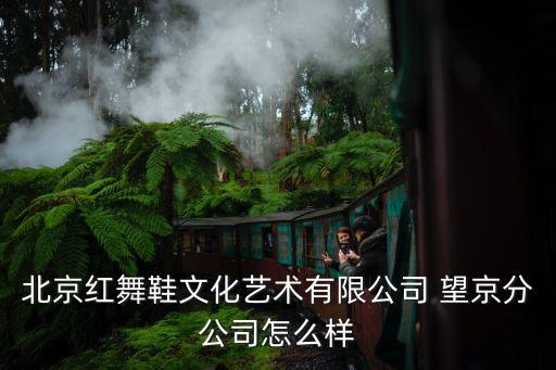 北京红舞鞋文化艺术有限公司 望京分公司怎么样