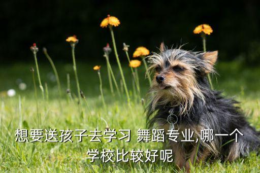 平庄哪个舞蹈班好,北京儿童舞蹈学校培训班效果怎么样?