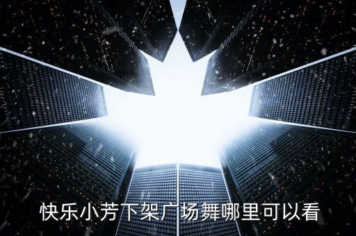  快乐小芳下架广场舞哪里可以看