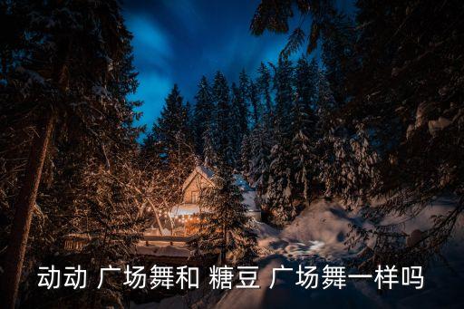 动动 广场舞和 糖豆 广场舞一样吗