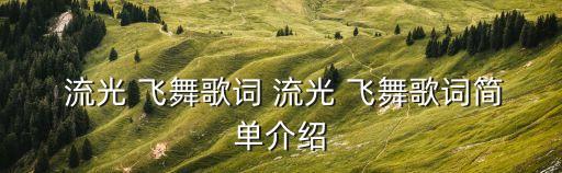  流光 飞舞歌词 流光 飞舞歌词简单介绍