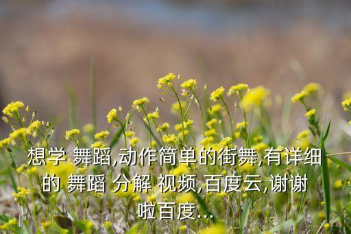 想学 舞蹈,动作简单的街舞,有详细的 舞蹈 分解 视频,百度云,谢谢啦百度...