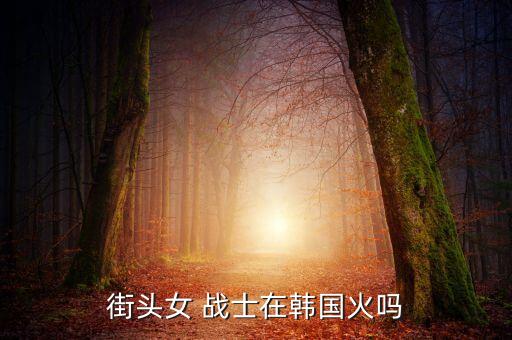 街头女 战士在韩国火吗