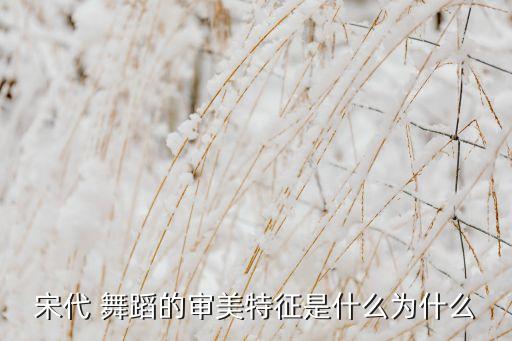 宋代 舞蹈的审美特征是什么为什么