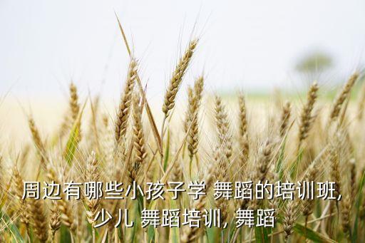 临沂 暑假少儿舞蹈班,想学舞蹈?可以报少儿舞蹈班!