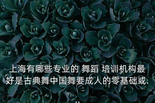 上海有哪些专业的 舞蹈 培训机构最好是古典舞中国舞要成人的零基础或...