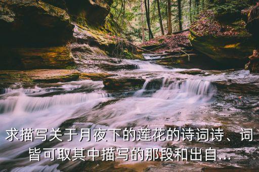 月下连花开舞蹈教学,雨后荷花盛开水上芭蕾舞步轻盈