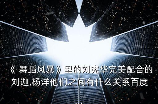 刘迦舞蹈技巧,舞蹈暴风是第一档综艺节目