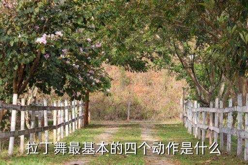 拉丁舞最基本的四个动作是什么